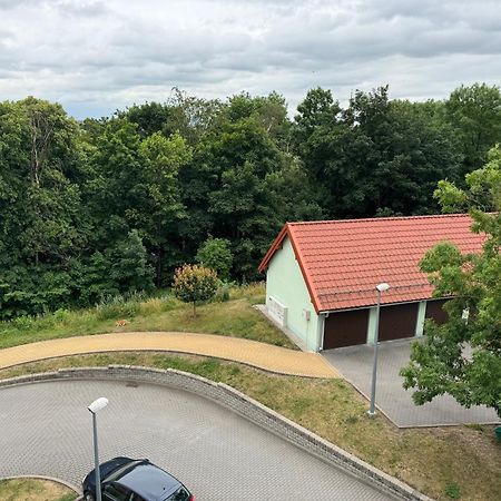 Bozki Apartament Kętrzyn Kültér fotó